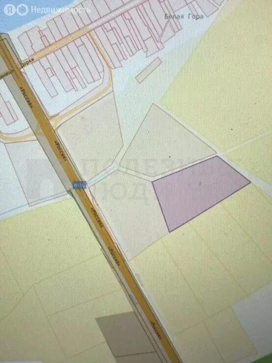 Участок в Бронницкое сельское поселение, деревня Белая Гора (40438 м) - Фото 1