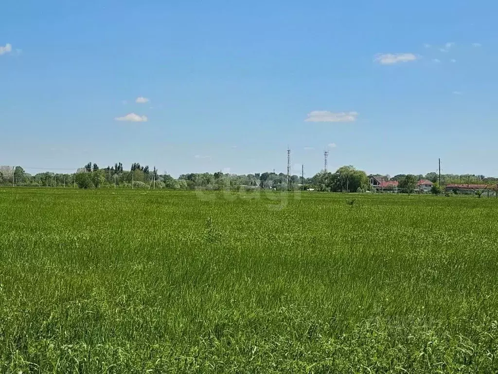 Участок в Ростовская область, Мясниковский район, Краснокрымское ... - Фото 1