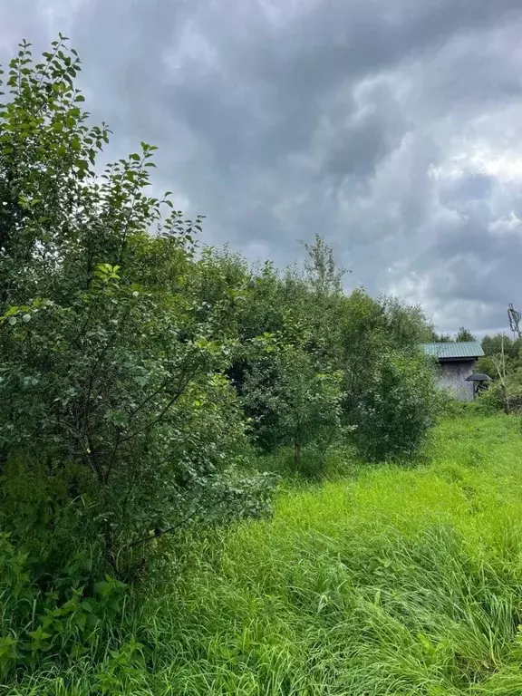 Участок в Тверская область, Старицкий муниципальный округ, д. Каленицы ... - Фото 2