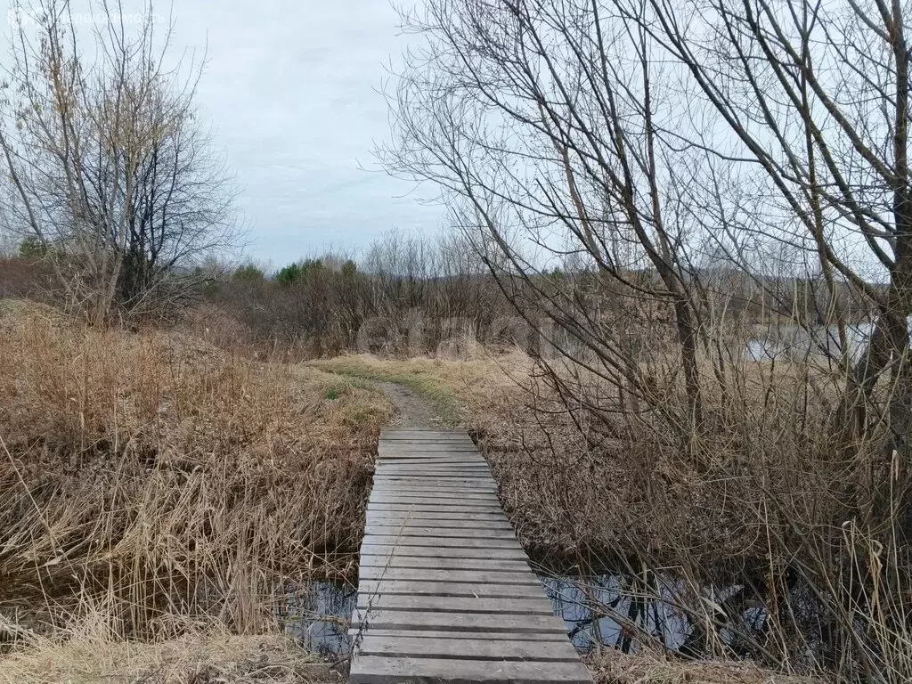 Дом в Миасс, СНТ Золотая Долина-2 (25.5 м) - Фото 1