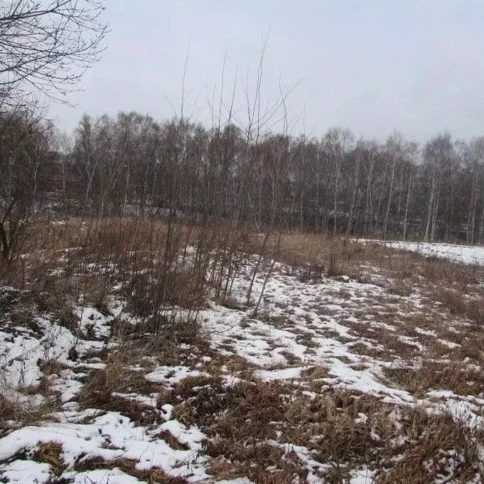 Участок в Московская область, Коломна городской округ, с. Редькино  ... - Фото 0