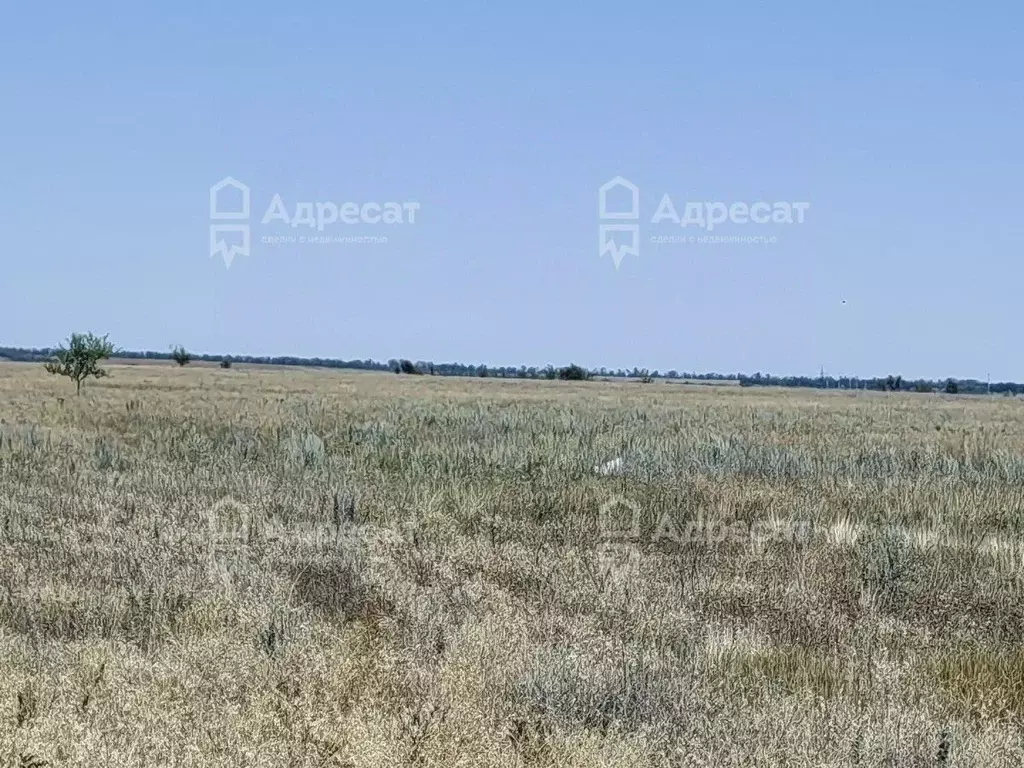 Участок в Волгоградская область, Волгоград ул. Венгерская (6.42 сот.) - Фото 0