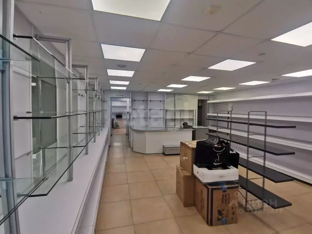 Помещение свободного назначения в Камчатский край, Елизово ул. ... - Фото 1