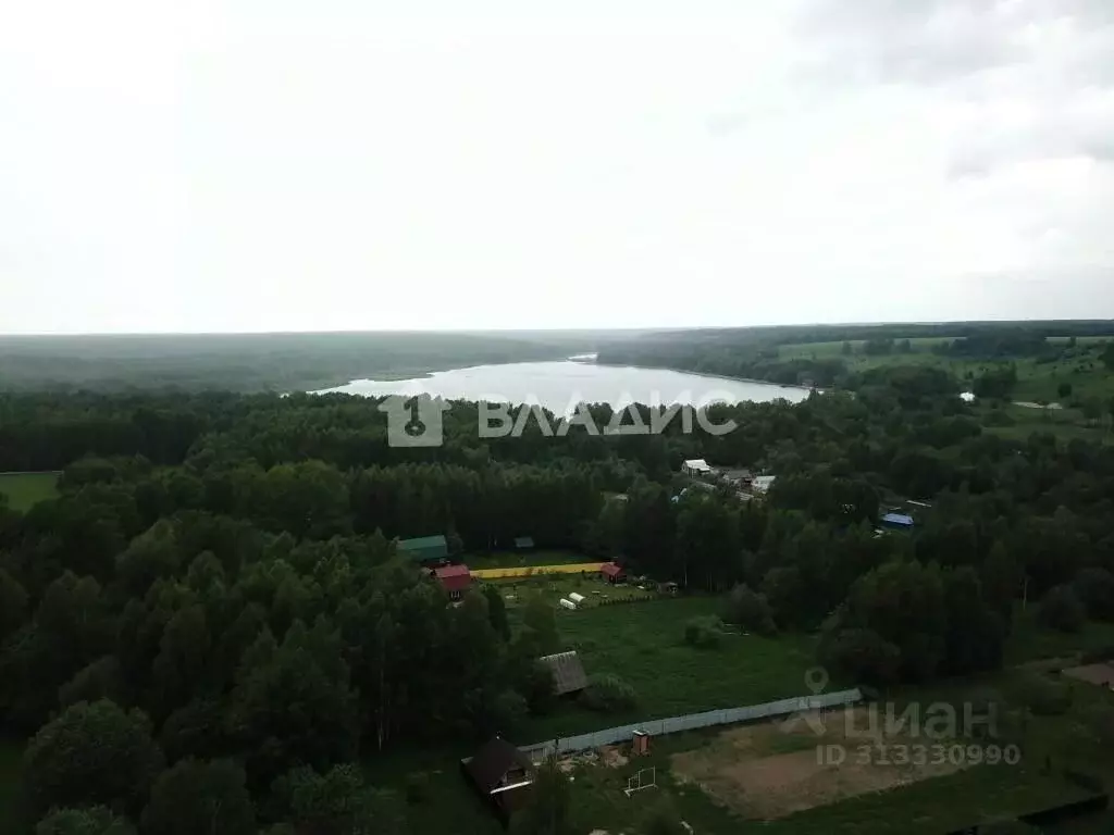 Участок в Владимирская область, Собинский муниципальный округ, ... - Фото 1