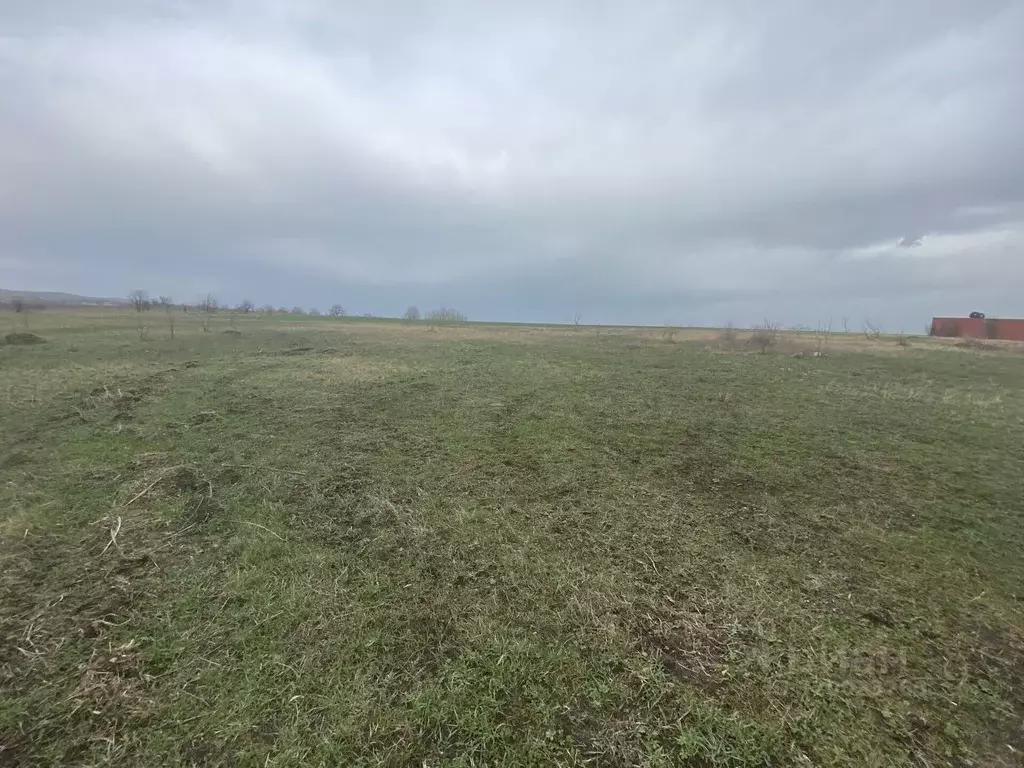 Участок в Краснодарский край, Северский район, Ильское городское ... - Фото 0