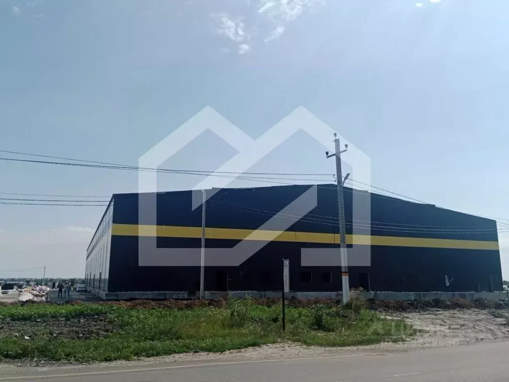 Производственное помещение в Воронежская область, Новоусманский район, ... - Фото 1