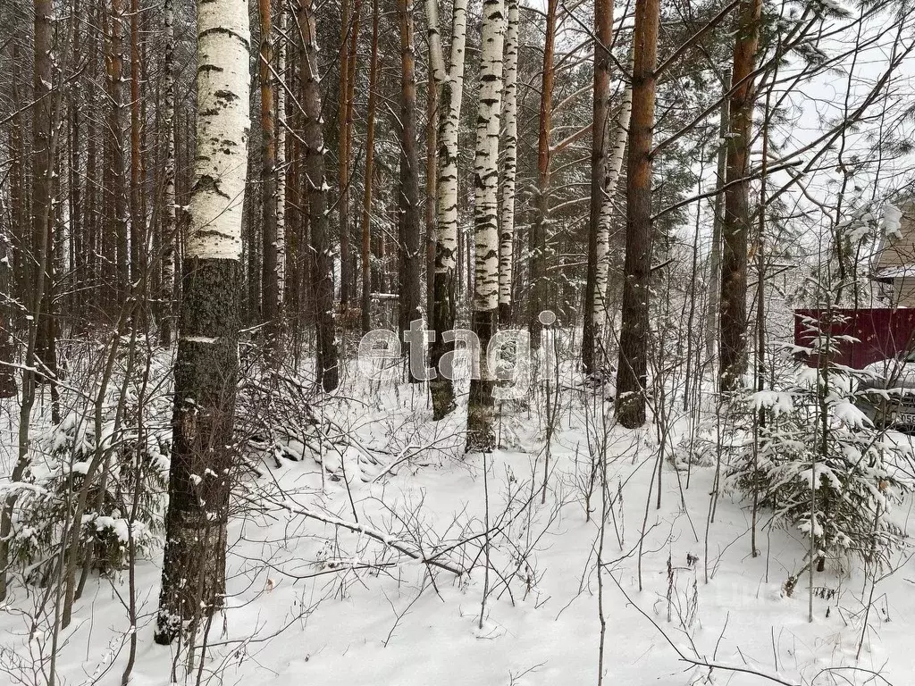 Купить Участок В Республике Марий Эл