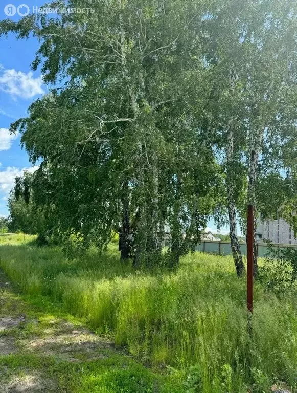 Участок в Новосибирский район, Верх-Тулинский сельсовет, ДНТ Берёзка, ... - Фото 0