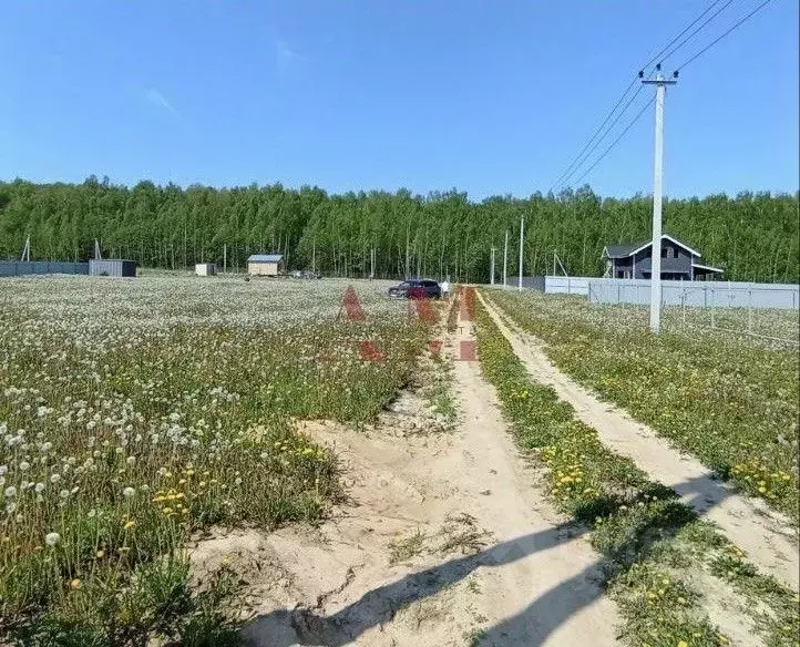 Участок в Владимирская область, Собинский муниципальный округ, с. ... - Фото 1