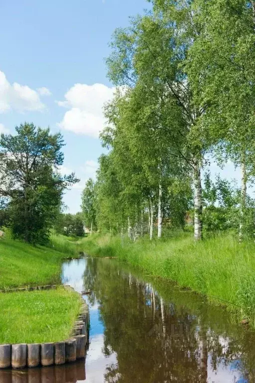 Участок в Ленинградская область, Всеволожский район, Колтушское ... - Фото 1