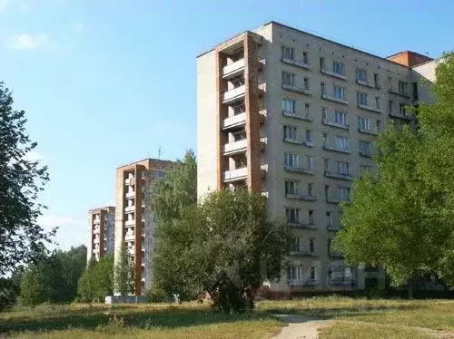 1-к кв. Нижегородская область, Саров ул. Бессарабенко, 19 (29.5 м) - Фото 0