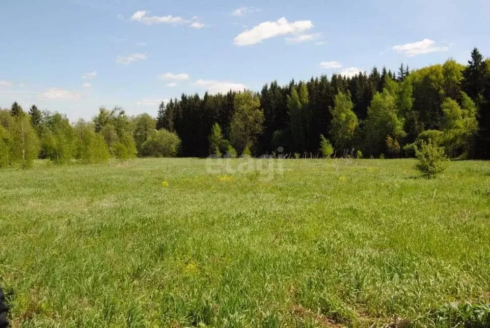 Участок в Татарстан, Пестречинский район, с. Пановка  (8.7 сот.) - Фото 0