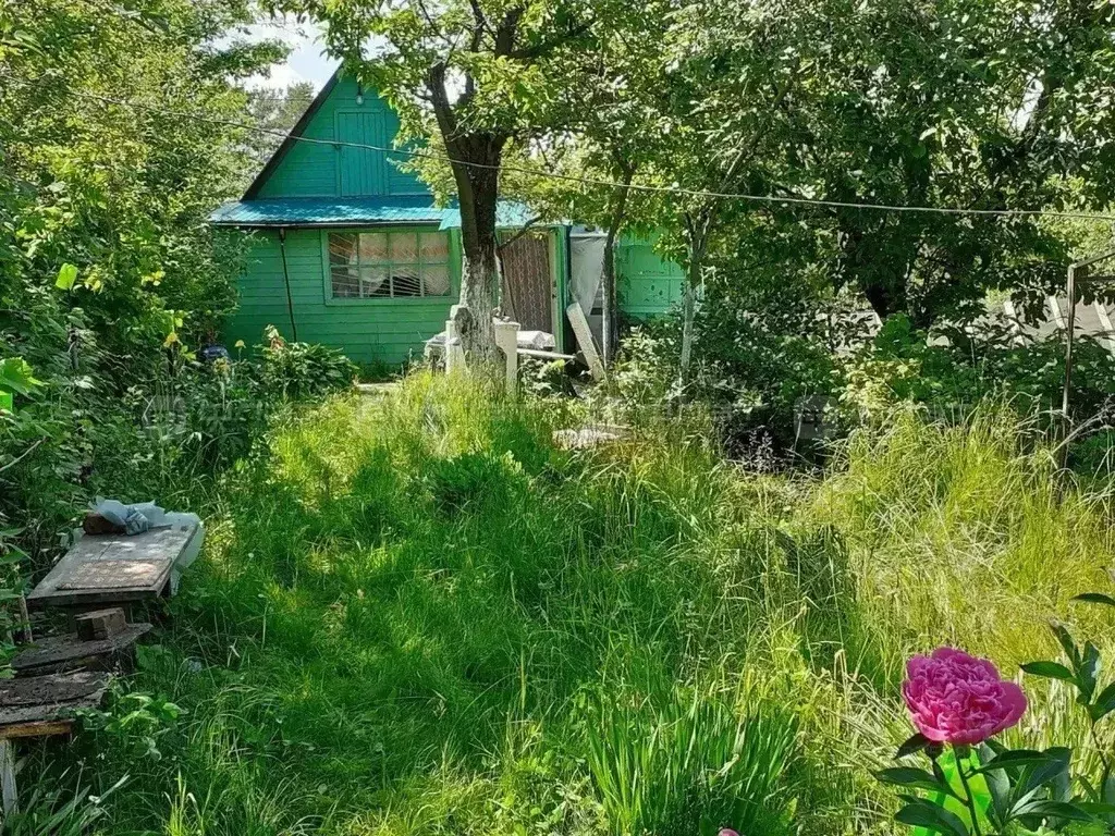 Участок в Татарстан, Казань Труд завода Радиоприбор СНТ, 106 (6.0 ... - Фото 2