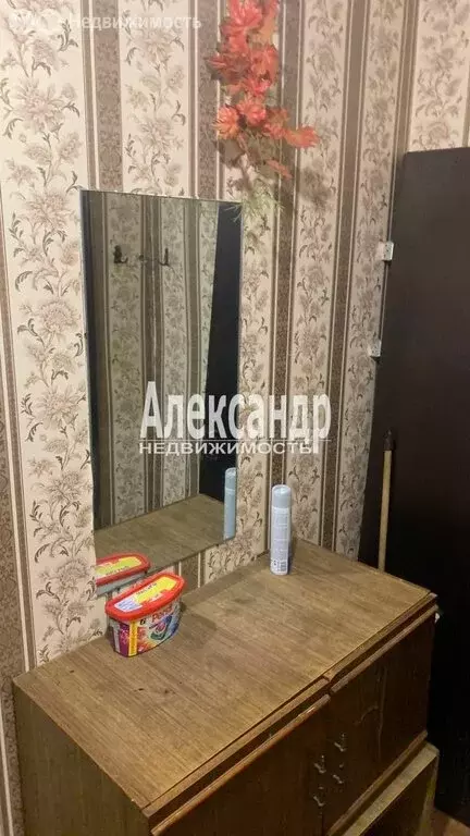 1-комнатная квартира: деревня Раздолье, Центральная улица, 25 (35.8 м) - Фото 2