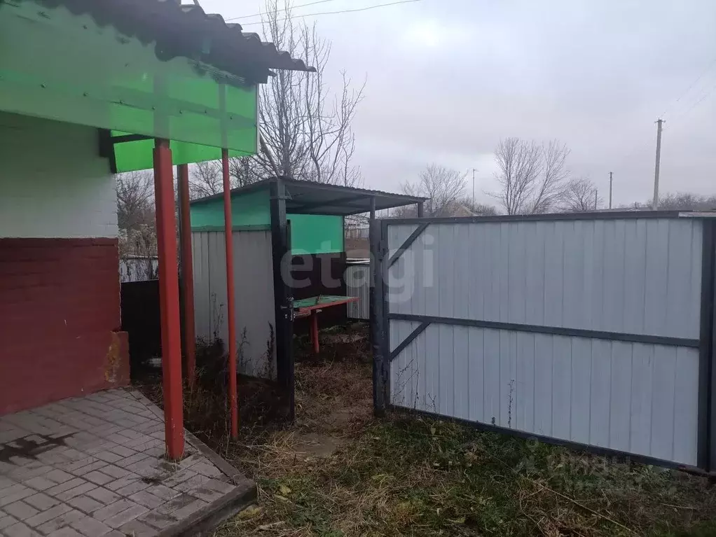 Дом в Белгородская область, Вейделевский район, с. Белый Колодезь ул. ... - Фото 0