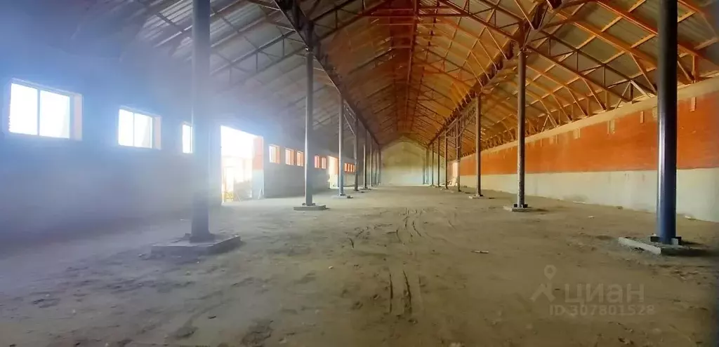 Помещение свободного назначения в Краснодарский край, Динской район, ... - Фото 2