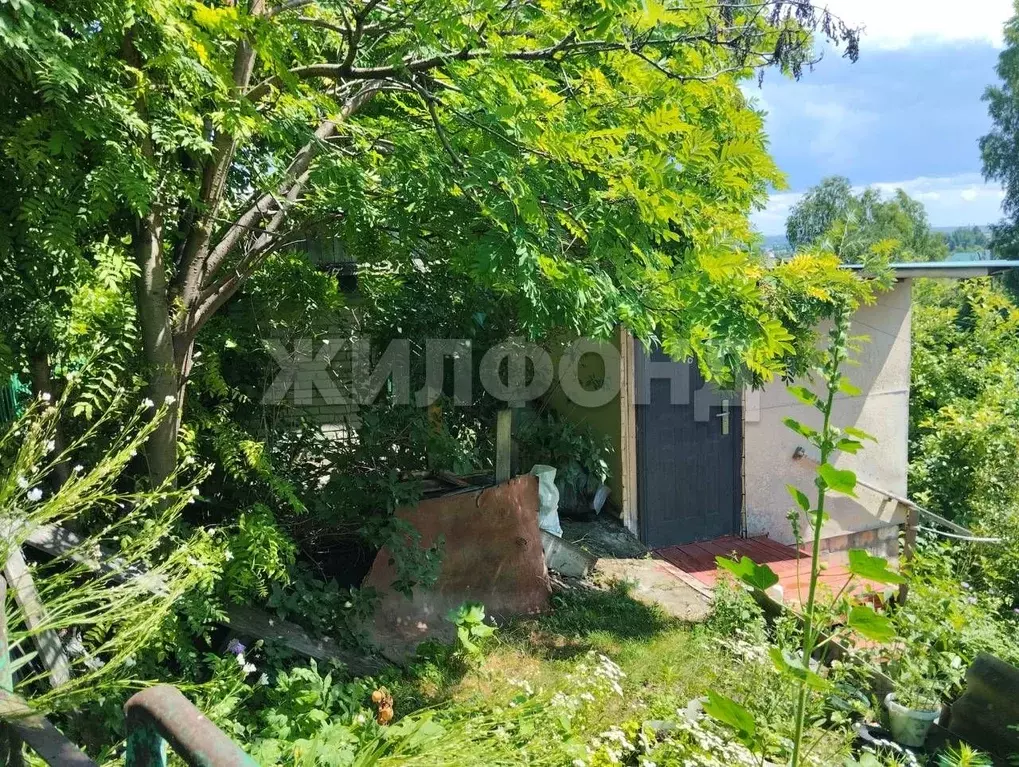 Дом в Новосибирская область, Искитим  (32 м) - Фото 1