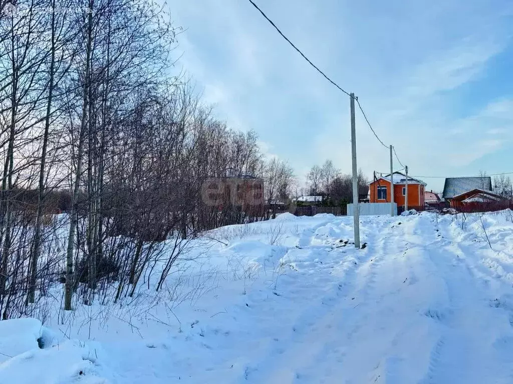 Участок в Архангельская область, Приморский муниципальный округ, ... - Фото 1