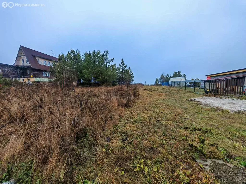 Участок в Свердловская область, Полевской (10 м) - Фото 2