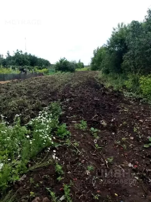 Участок в Московская область, Луховицы ул. Куйбышева, 205 (15.0 сот.) - Фото 2