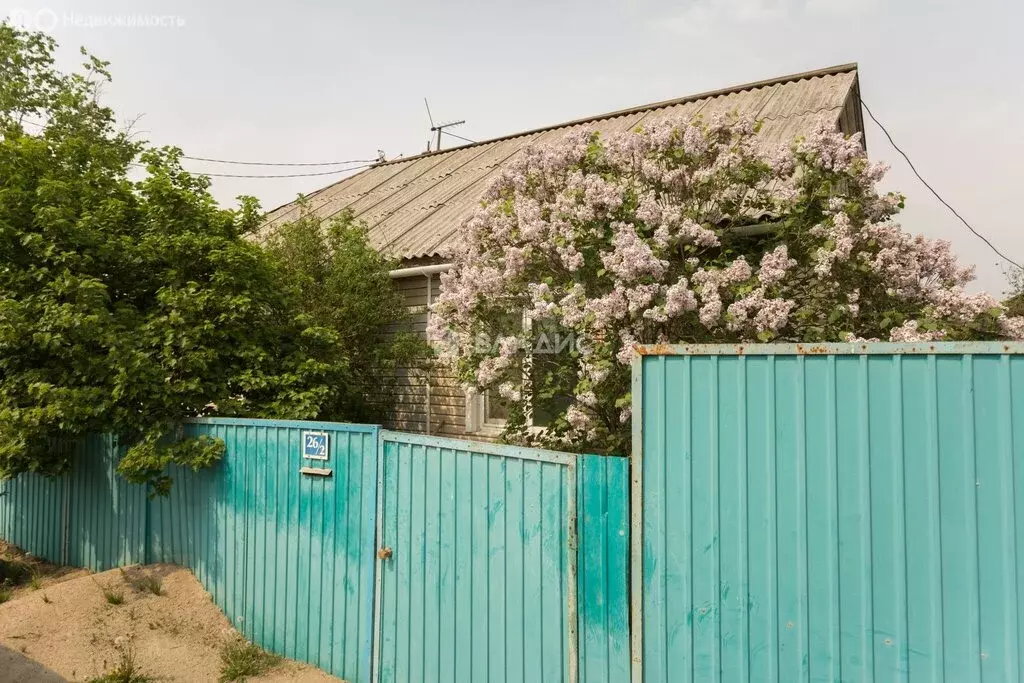 Дом в Амурская область, Благовещенский муниципальный округ, село ... - Фото 1