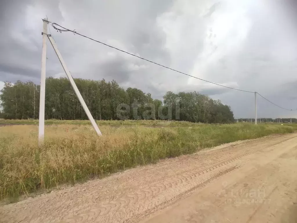 Участок в Тюменская область, Тюменский район, Новокаменский кп  (17.3 ... - Фото 0