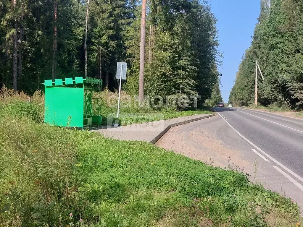 Участок в Калужская область, Боровский муниципальный округ, Кривское ... - Фото 2