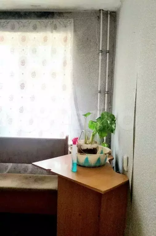 1-к. квартира, 30,9 м, 1/4 эт. - Фото 0