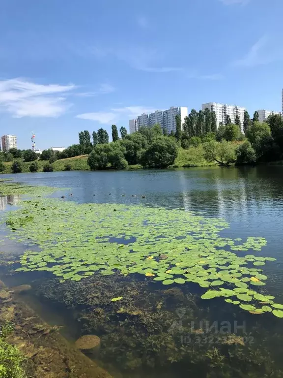 1-к кв. Москва Озерная ул., 19К1 (35.1 м) - Фото 1