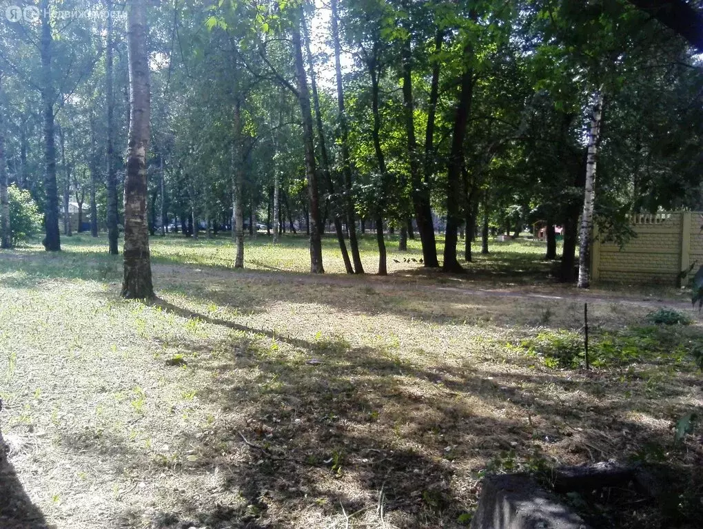 3-комнатная квартира: Санкт-Петербург, улица Ленсовета, 17 (128.1 м) - Фото 0