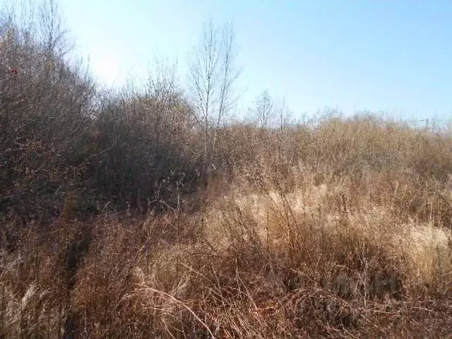 Участок в Приморский край, Партизанский муниципальный округ, с. ... - Фото 1