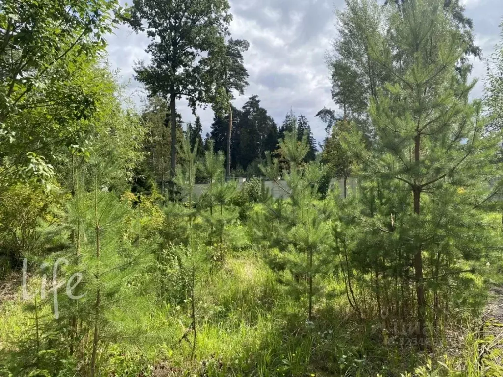 Участок в Московская область, Химки городской округ, д. 5-е Горки 8 ... - Фото 1