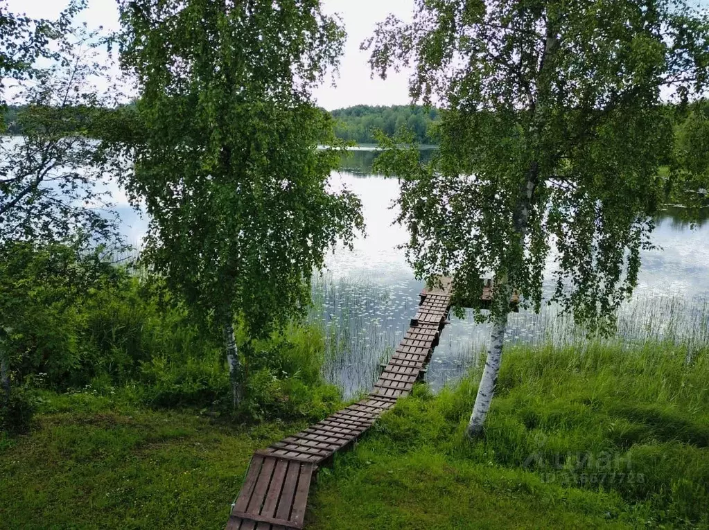 Дом в Вологодская область, Белозерский муниципальный округ, д. ... - Фото 2