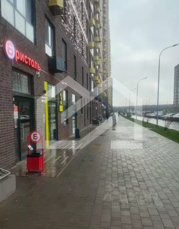 Помещение свободного назначения в Московская область, Ленинский ... - Фото 1