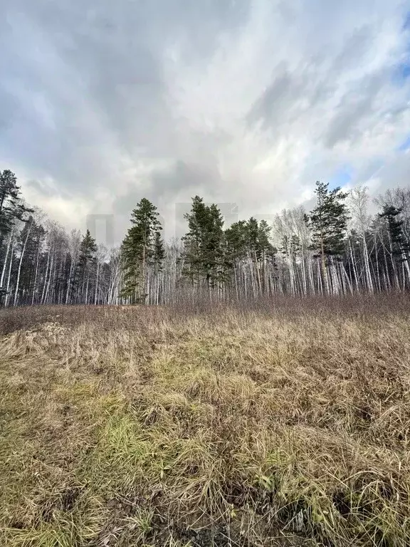 Участок в Свердловская область, Белоярский муниципальный округ, ... - Фото 1