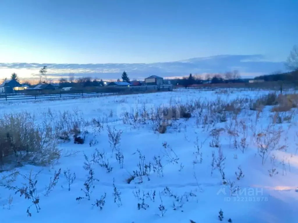 Участок в Амурская область, Благовещенский район, с. Новотроицкое  ... - Фото 1