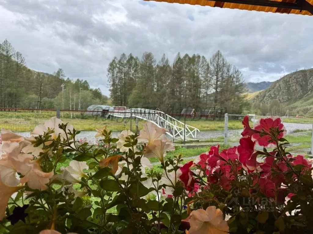 Помещение свободного назначения в Алтай, Онгудайский район, ... - Фото 1