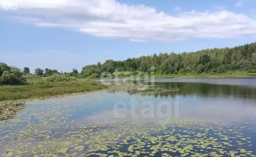 Участок в Ярославский муниципальный округ, деревня Василёво ... - Фото 2