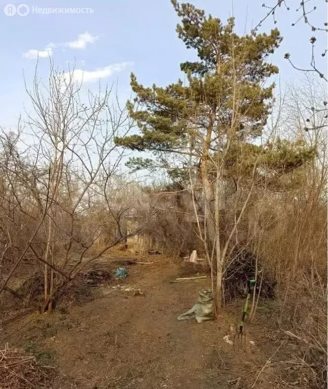 Участок в Новосибирск, садовое товарищество Умелый Строитель (6 м) - Фото 1