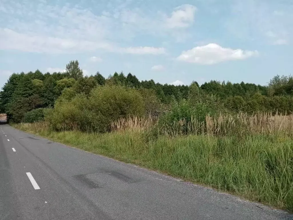 Участок в Брянская область, Брянский район, с. Журиничи Лесная ул. ... - Фото 1