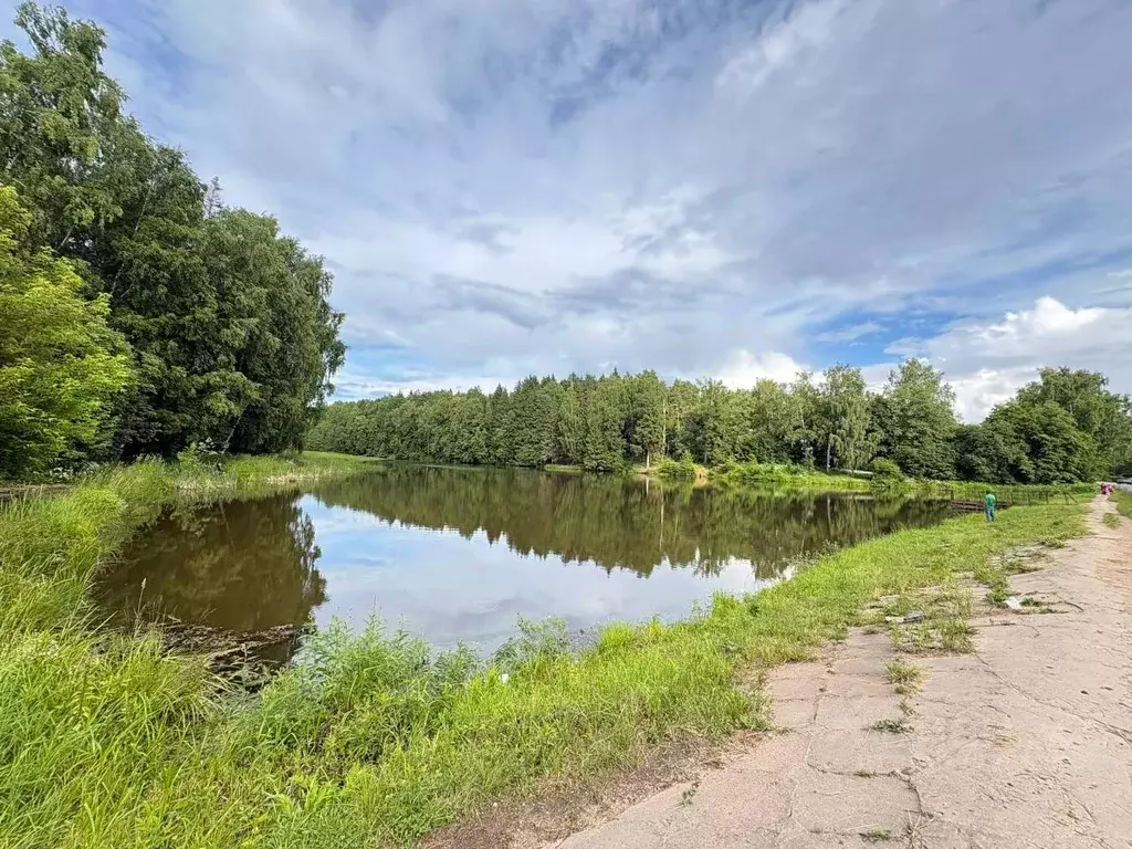 Дом в Московская область, Солнечногорск городской округ, Электрик ... - Фото 1