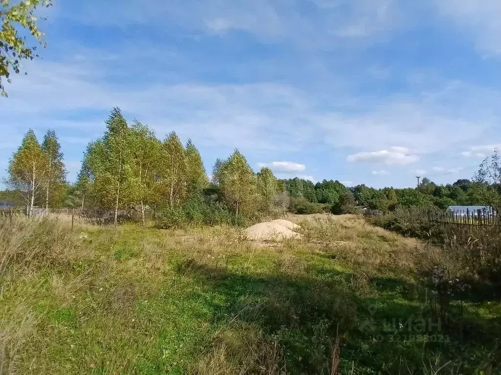 Участок в Нижегородская область, Выкса городской округ, с. Нижняя ... - Фото 1