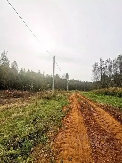 Участок в Тульская область, Веневский муниципальный округ, с. Марыгино ... - Фото 2
