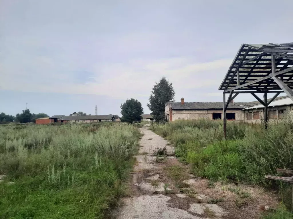 Помещение свободного назначения в Рязанская область, Касимовский ... - Фото 2