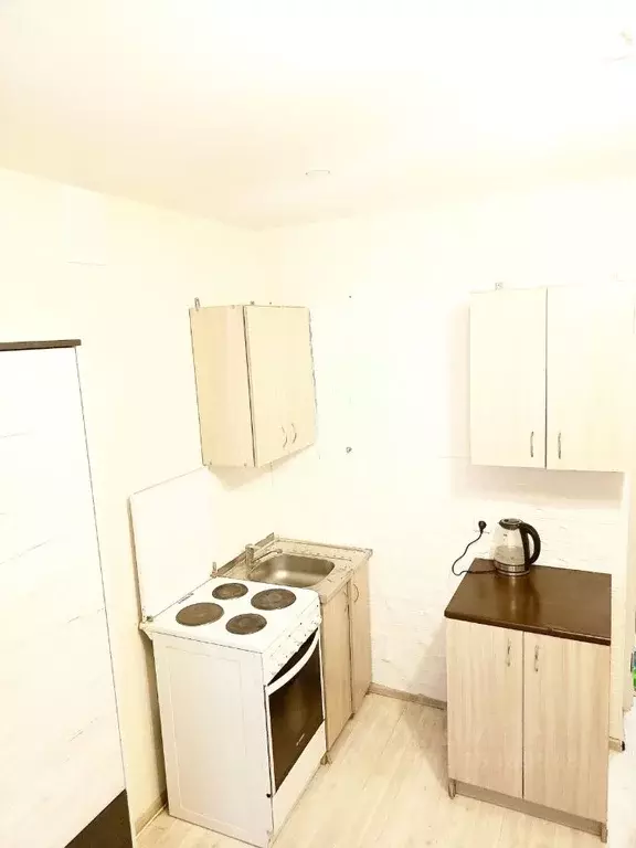 Студия Татарстан, Пестречинский район, Шигалеевское с/пос, с. Новое ... - Фото 2