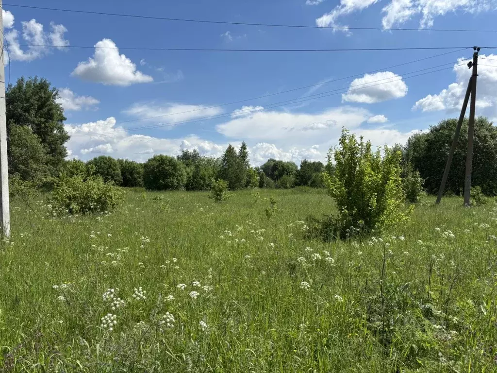 Участок в Московская область, Луховицы ул. 2-я Луговая, 15 (5.77 сот.) - Фото 1