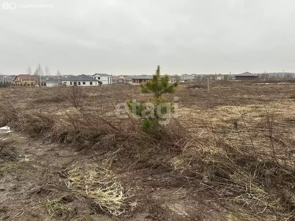 Участок в село Отрадное, КП Ново-Отрадное (11.5 м) - Фото 2