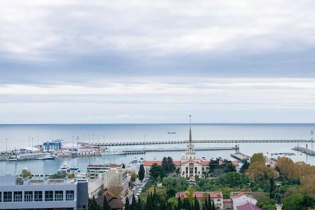 1-к кв. Краснодарский край, Сочи Центральный мкр, ул. Войкова, 27 ... - Фото 1