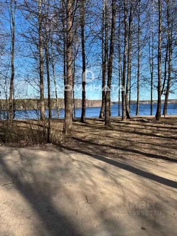 Участок в Ленинградская область, Лодейное поле ул. Коммунаров, 22 ... - Фото 1