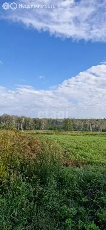 Участок в Искитимский район, Гусельниковский сельсовет, село Белово ... - Фото 1